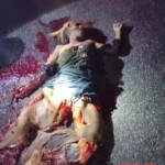 Woman crushed by truck