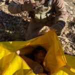 Dead female Kurdish soldier