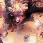 Dead female Kurdish soldier