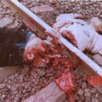 Railway death