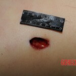 Woman murdered with machete