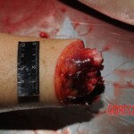 Woman murdered with machete