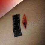 Woman murdered with machete