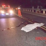 Motorcyclist cut in half