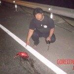 Motorcyclist cut in half