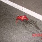 Motorcyclist cut in half