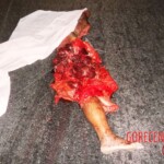 Motorcyclist cut in half