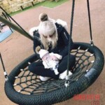 Dead newborn daughter