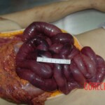 Raped and hanged Chinese woman