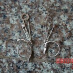 Raped and stabbed girl