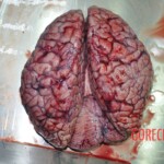 Raped young Chinese woman in morgue