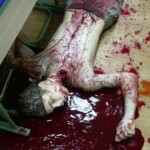 Andrei Emelyanikov dead