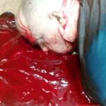 Sergei Danilov murder