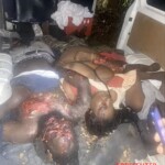 Women died in car crash