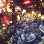 Mexico Ferrari accident