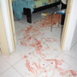 Daniela Vieira da Silva