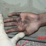 Girl killed in apartment fire