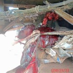 Bloody crash in Nigeria