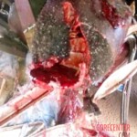 Bloody crash in Nigeria