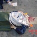 Aircraft mechanic killed by helicopter propeller blade