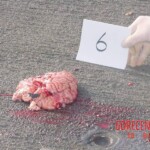 Aircraft mechanic killed by helicopter propeller blade