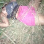 Dayza da Silva Castro