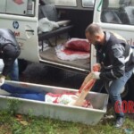 Andrea Depelegrin Burguer