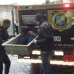 Andrea Depelegrin Burguer