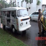 Andrea Depelegrin Burguer