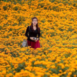 Sreytouch Sereymongkol