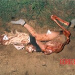 Girl eaten by animals