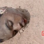 Decapitated islamist soldiers in Mali