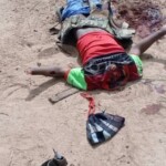 Decapitated islamist soldiers in Mali