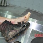 Female killed by lightning strike