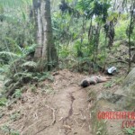 Executed woman in jungle