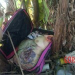 Female torso found in suitcase