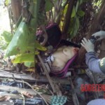 Female torso found in suitcase