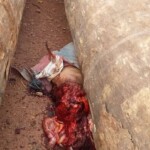 Man crushed by wood log