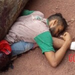 Man crushed by wood log