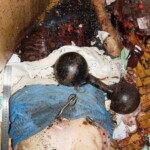 Woman murdered by son