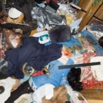 Woman murdered by son