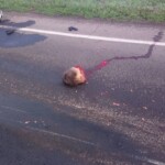 Fatal motorcycle accident