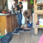 Murdered by her son-in-law