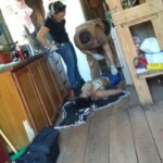 Murdered by her son-in-law