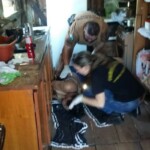 Murdered by her son-in-law