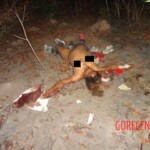 Murdered woman in forest