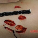 Nurse stabbed to death