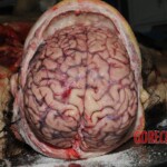 Chinese nurse stabbed to death