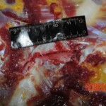 Stabbed woman in morgue