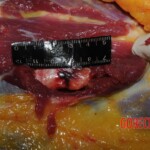 Stabbed woman in morgue